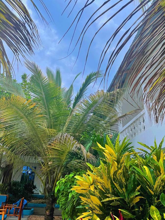 Кilimanjaro Nungwi Hotel Ngoại thất bức ảnh