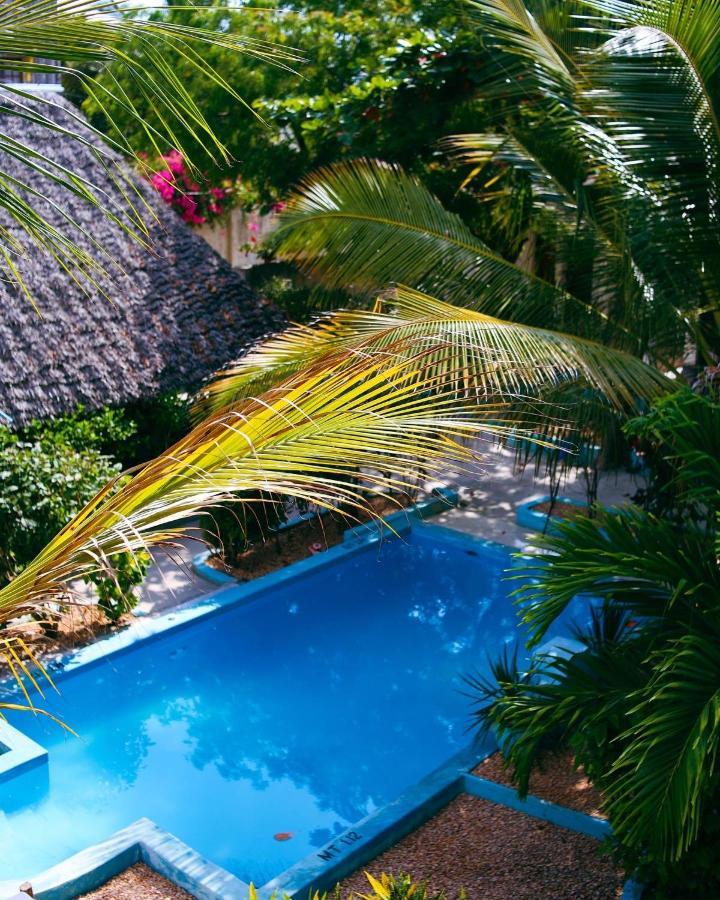 Кilimanjaro Nungwi Hotel Ngoại thất bức ảnh